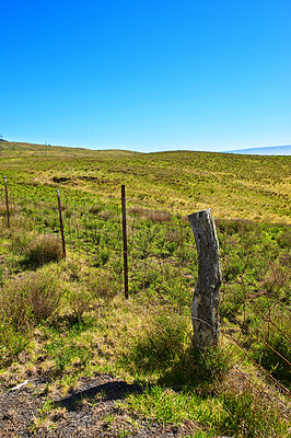 Buy stock photo Nature, blue sky and plants on mountain in Hawaii for travel destination, holiday and vacation. Natural background, landscape and fence in field for scenic view in environment, ecosystem and island