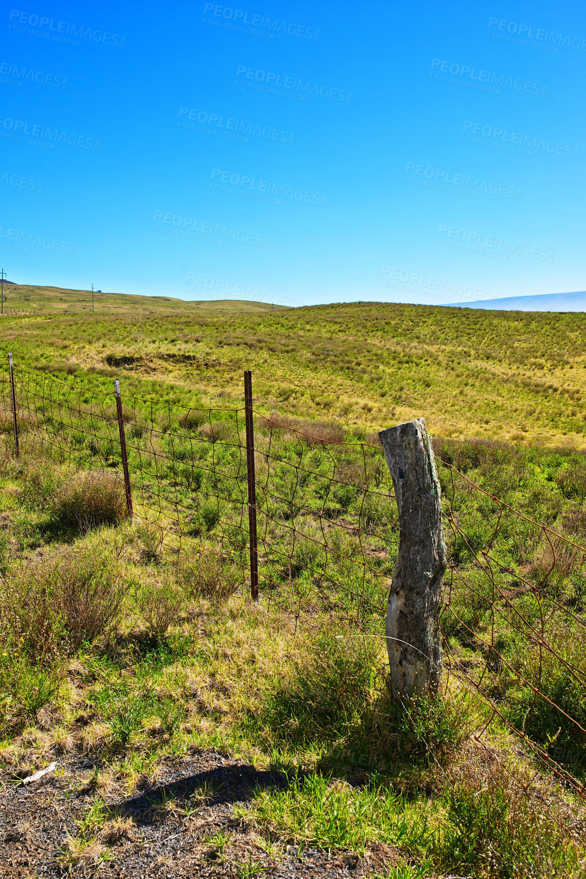 Buy stock photo Nature, blue sky and plants on mountain in Hawaii for travel destination, holiday and vacation. Natural background, landscape and fence in field for scenic view in environment, ecosystem and island