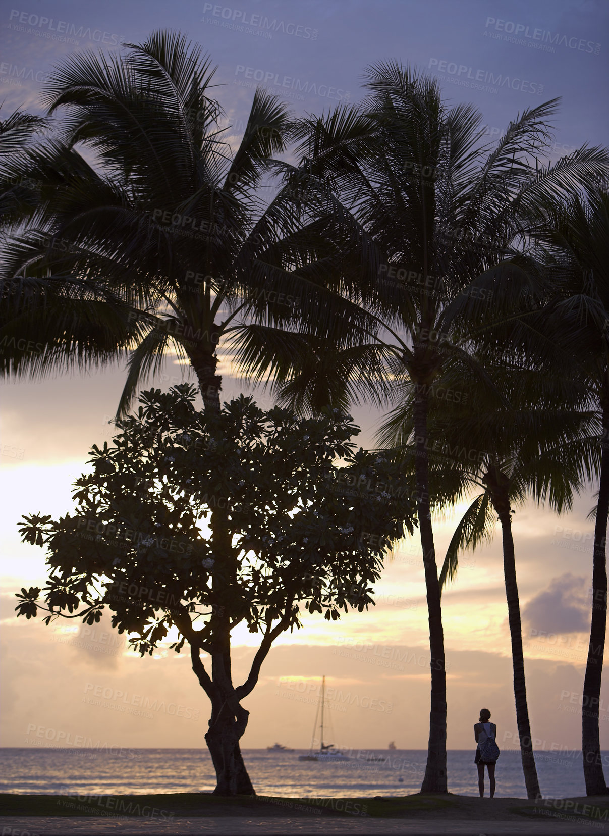 Buy stock photo Summer, seascape and palm trees in ocean, tropical island and Hawaii with horizon in nature, view or peace. Holiday, trip and travel for vacation or relax with person, back or silhouette on adventure