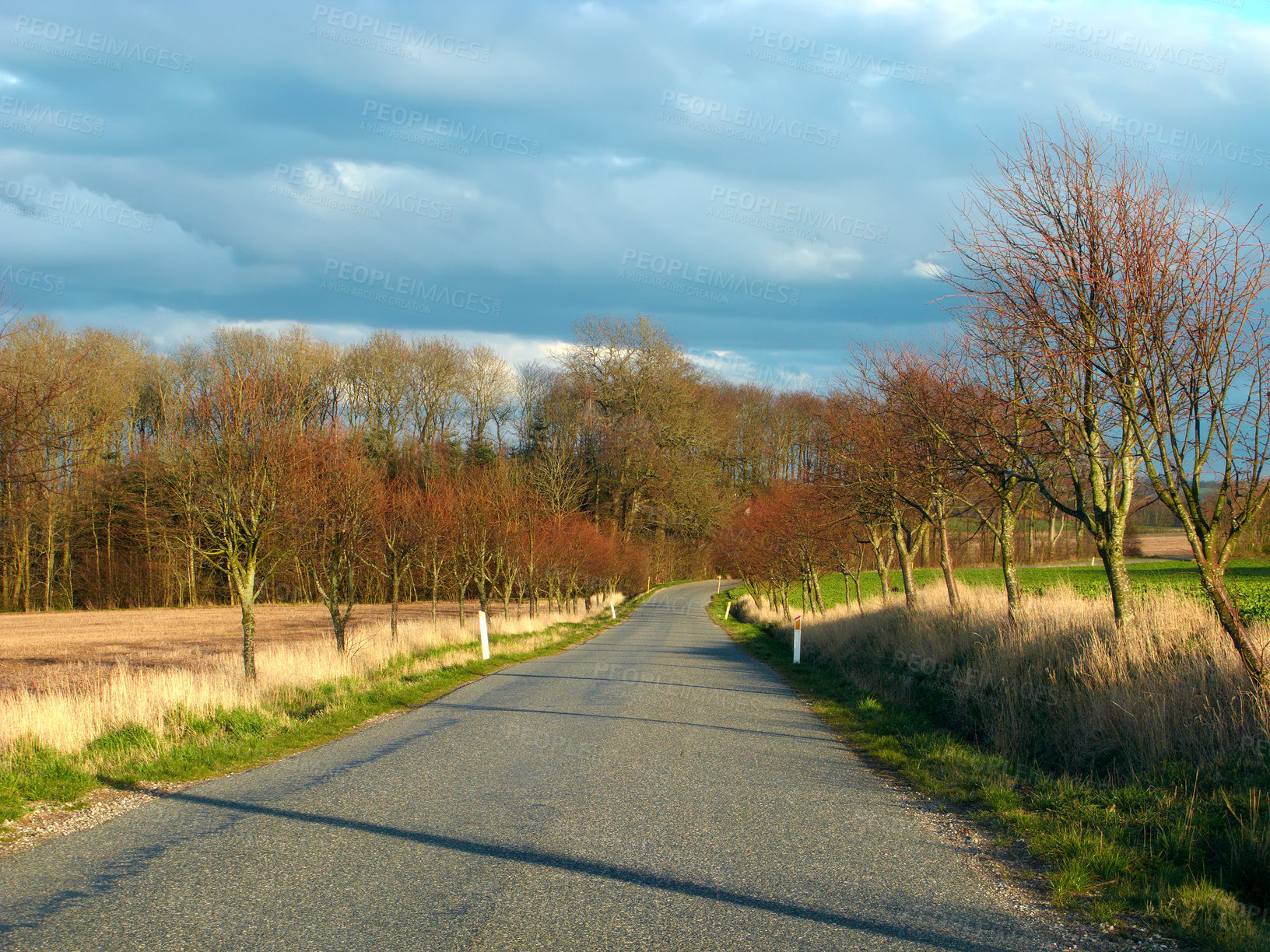 Buy stock photo Road, nature and pathway to travel, outdoor and peace in environment, location and adventure in forest. Woods, highway and direction of destination for journey, morning and trees on trip or landscape