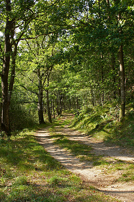 Buy stock photo Road, nature and pathway to travel, environment and peace in location, outdoor and adventure in forest. Woods, way and direction of destination for journey, morning and trees on trip or landscape