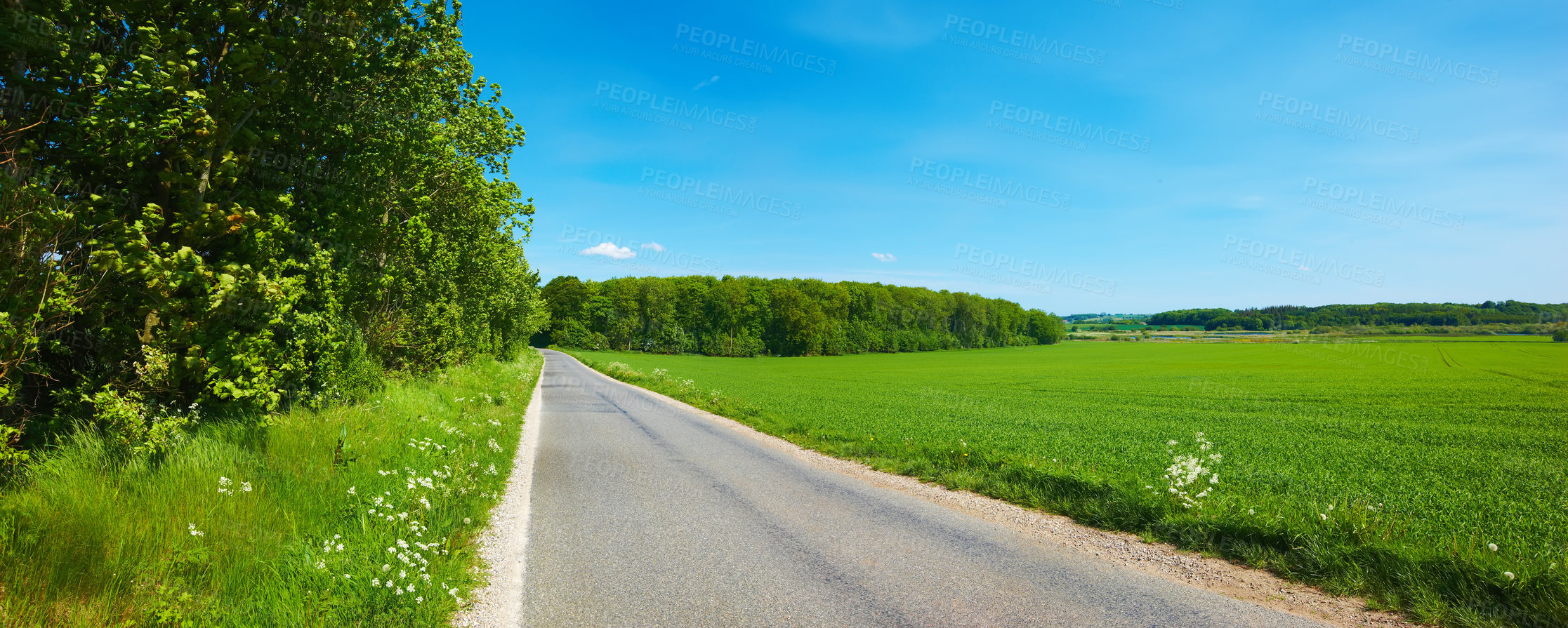 Buy stock photo Road, nature and pathway to travel, grass and peace in environment, location and adventure in forest. Woods, highway and direction of destination for journey, morning and trees on trip and landscape