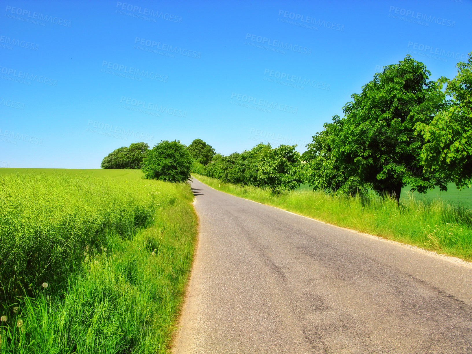 Buy stock photo Road, nature and pathway to travel, sky and peace in environment, location and adventure in forest. Woods, highway and direction of destination for journey, morning and trees on trip and landscape