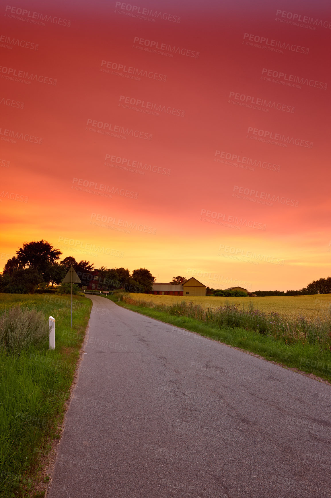 Buy stock photo Road, nature and pathway to travel, sunset and peace in environment, location and adventure in forest. Woods, highway and direction of destination for journey, outdoor and trees on trip and landscape