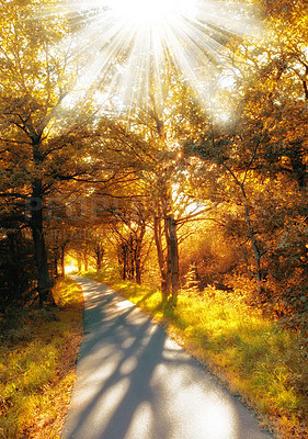 Buy stock photo Road, nature and pathway to travel, location and peace in environment, outdoor and adventure in forest. Woods, highway and direction of destination for journey, morning and trees on trip or landscape