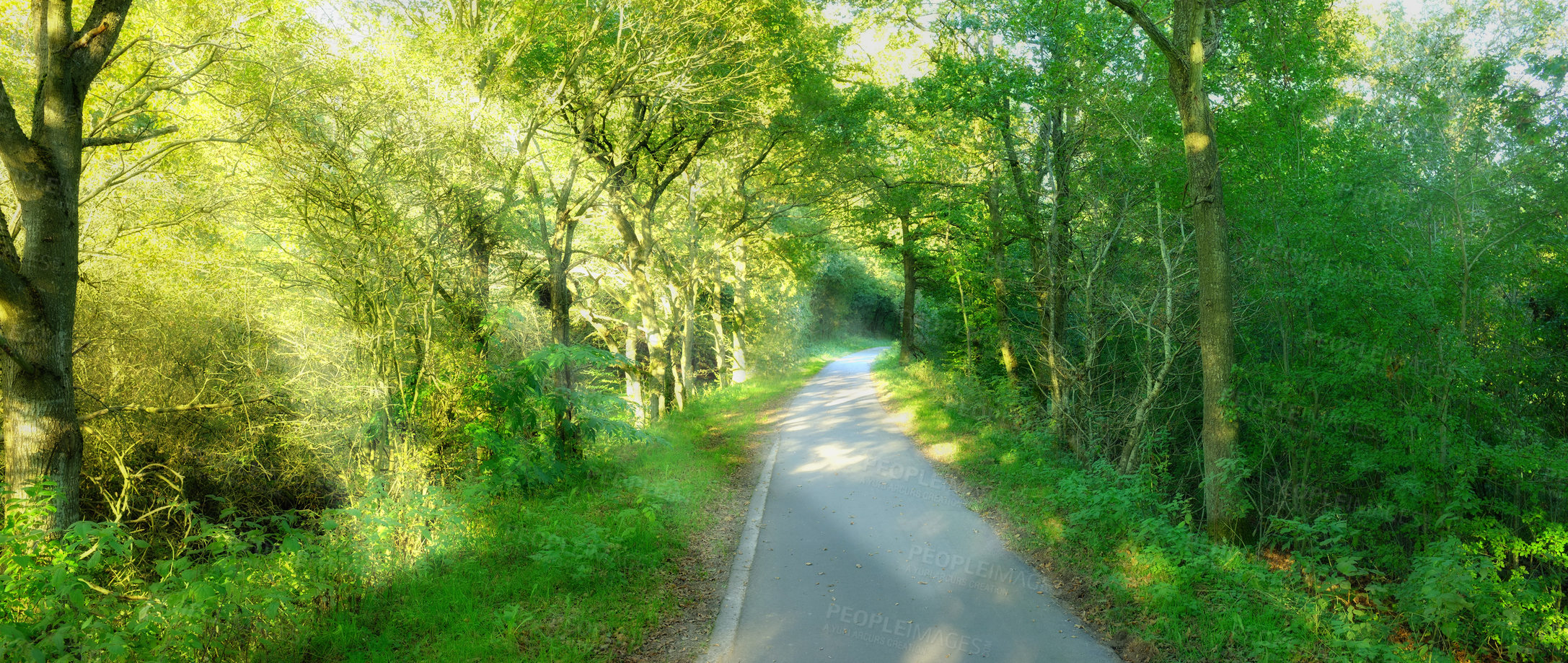 Buy stock photo Road, nature and pathway to travel, trees and peace in environment, location and adventure in forest. Woods, highway and direction of destination for journey, morning and outdoor on trip or landscape