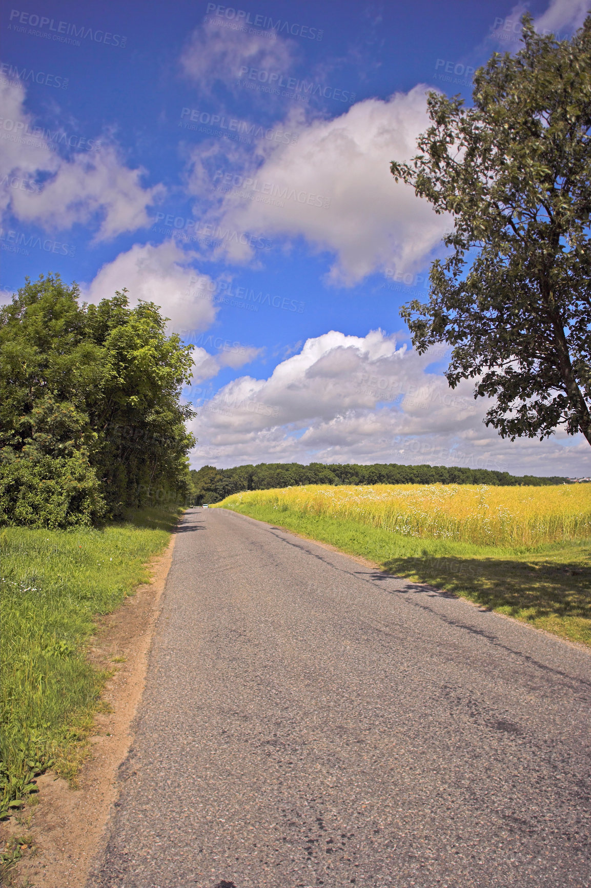 Buy stock photo Road, nature and pathway to travel, peace and outdoor in environment, location and adventure in forest. Woods, highway and direction of destination for journey, morning and trees on trip or landscape