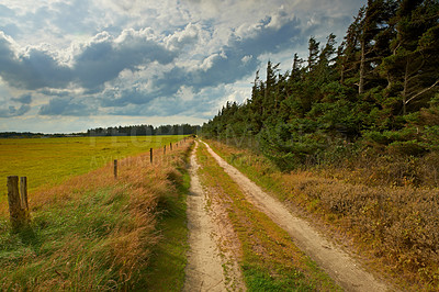 Buy stock photo Road, landscape and travel in countryside, woods and Scotland wilderness with nature, harmony or peace. Holiday, trip and path with outdoor or forest as wallpaper, background or texture for adventure