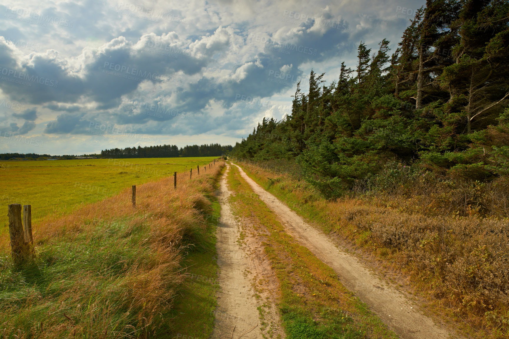 Buy stock photo Road, landscape and travel in countryside, woods and Scotland wilderness with nature, harmony or peace. Holiday, trip and path with outdoor or forest as wallpaper, background or texture for adventure