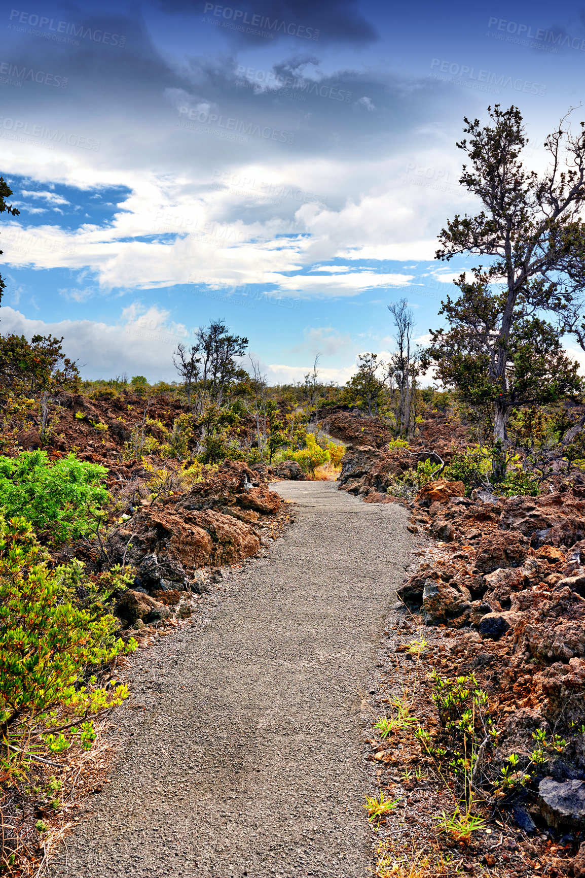 Buy stock photo Road, nature and pathway to travel, spring and peace in environment, location and adventure in Hawaii. Woods, highway and direction of destination for journey, morning and trees on trip and outdoor