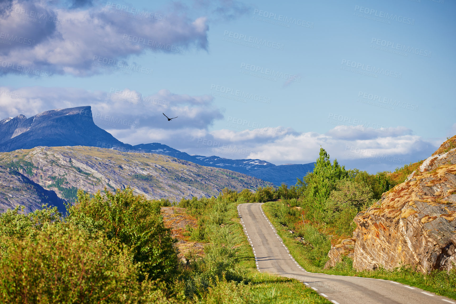Buy stock photo Road, nature and pathway to travel, scenery and peace in environment, location and adventure in forest. Woods, highway and direction of destination for journey, morning and trees on trip or landscape
