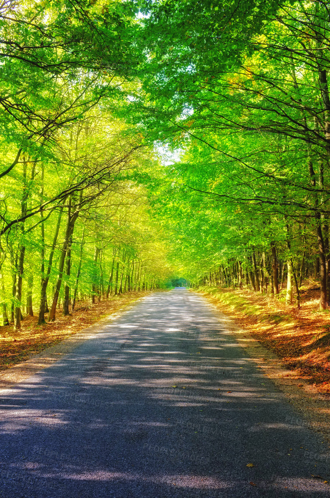 Buy stock photo A beautiful scenic road