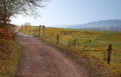 Buy stock photo Travel, field and tree with pathway in countryside for sunset, environment or destination. Empty, nature and dirt road for sustainability, vacation journey or adventure landscape in Switzerland