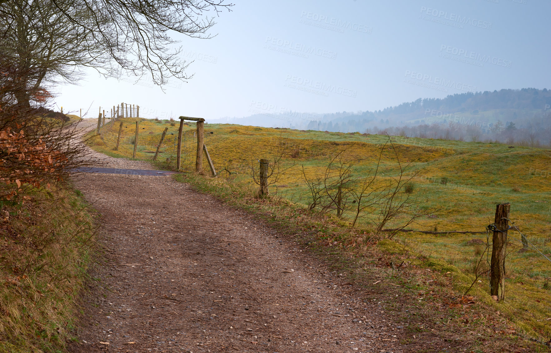 Buy stock photo Travel, field and tree with pathway in countryside for sunset, environment or destination. Empty, nature and dirt road for sustainability, vacation journey or adventure landscape in Switzerland