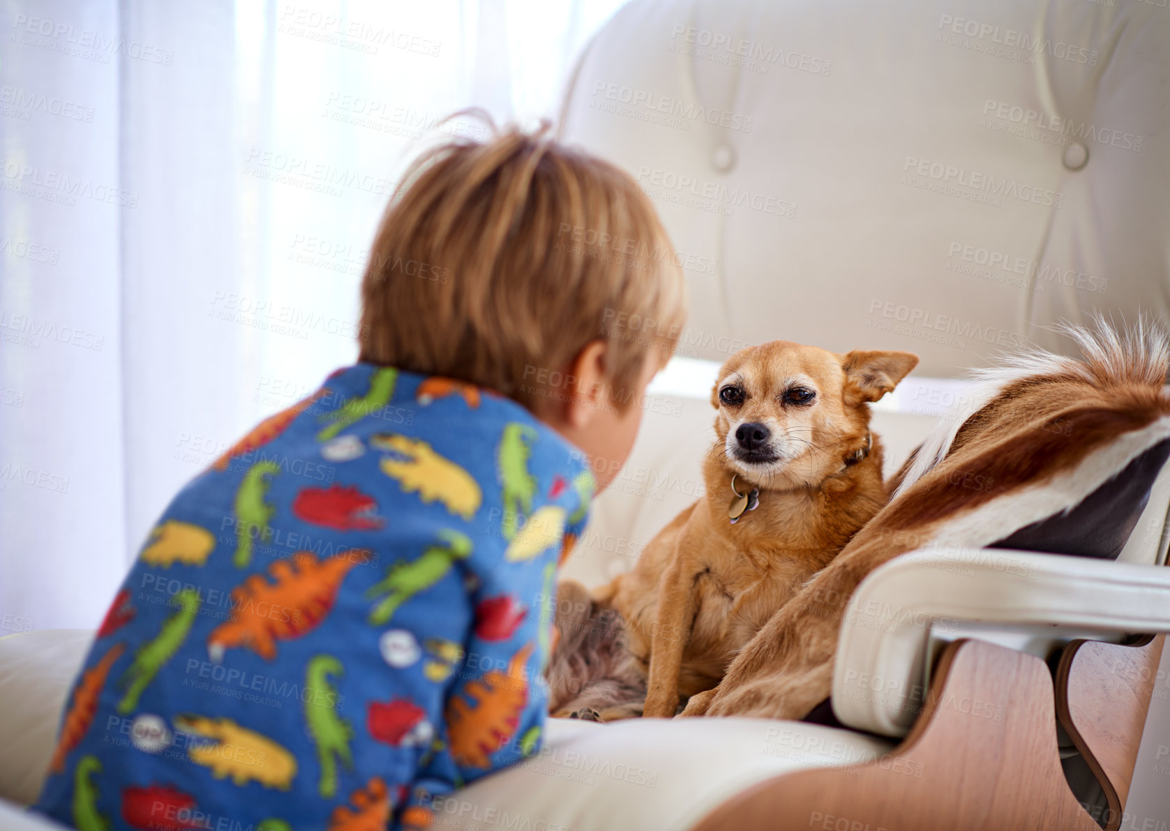 Buy stock photo Home, couch and kid with dog as pet in living room for fun, play and bonding with child development. Back view, animal and puppy in sofa at lounge for care with support, love and childhood memories.