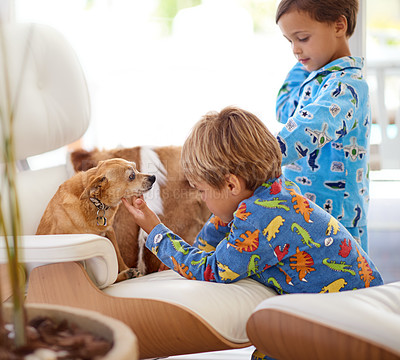 Buy stock photo Children, dog and playing in home for bonding in living room with pyjamas for child development. Kids, pets and relax on sofa in house with happiness, playful and siblings with puppy on weekend