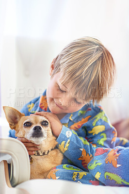 Buy stock photo Home, sofa and kid with dog as pet in living room for fun, play and bonding with child development. Connection, animal and puppy in couch at lounge for care with support, love and childhood memories.
