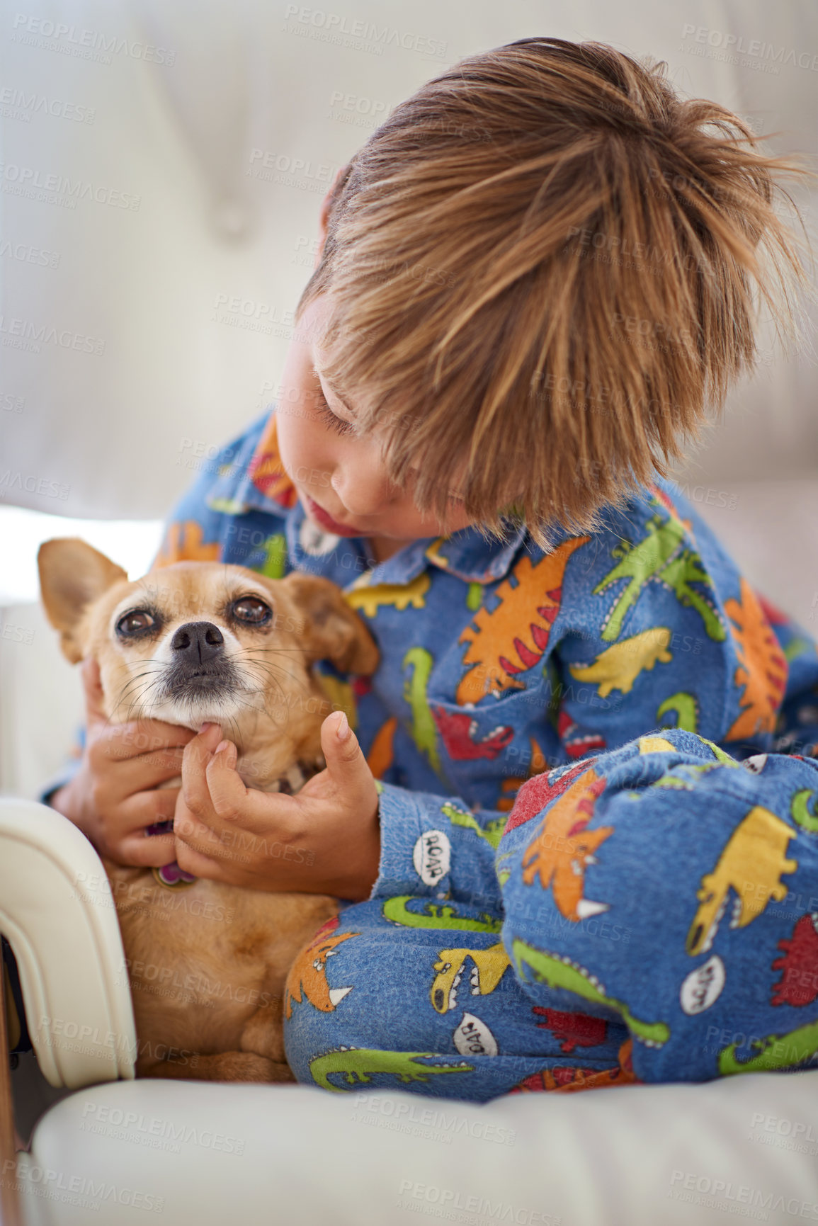 Buy stock photo Child, dog and animal playing on couch for bonding together, connection or adoption in living room. Young boy, pet puppy and cuddle on sofa in apartment for love, care and friendship in home