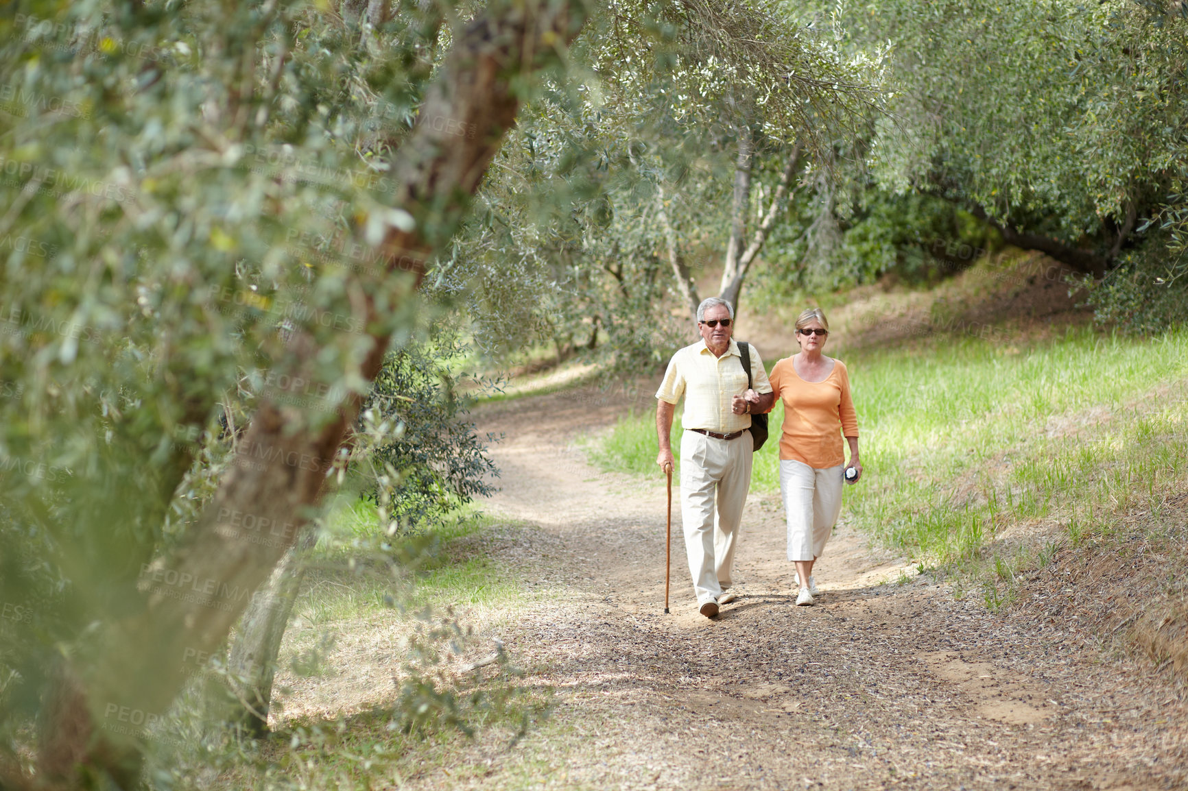 Buy stock photo Hiking, forest and senior couple with walking stick, fitness and retirement exercise, wellness support or path in nature. Elderly people in woods for cardio, eco travel and health journey or trekking
