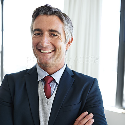 Buy stock photo Portrait of a smiling mature businessman in his office