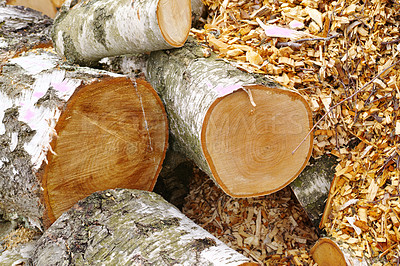 Buy stock photo Winter is coming - firewood to burn