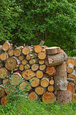 Buy stock photo Nature, log or wood in closeup for background with environment, abstract for climate change or deforestation. Natural, zoom or tree for earth day or eco friendly for sustainability, ecology in Canada