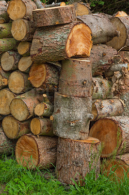 Buy stock photo Natural, log or wood in closeup for background with environment, abstract for climate change or deforestation. Nature, zoom or tree for earth day or eco friendly for sustainability, ecology in Canada