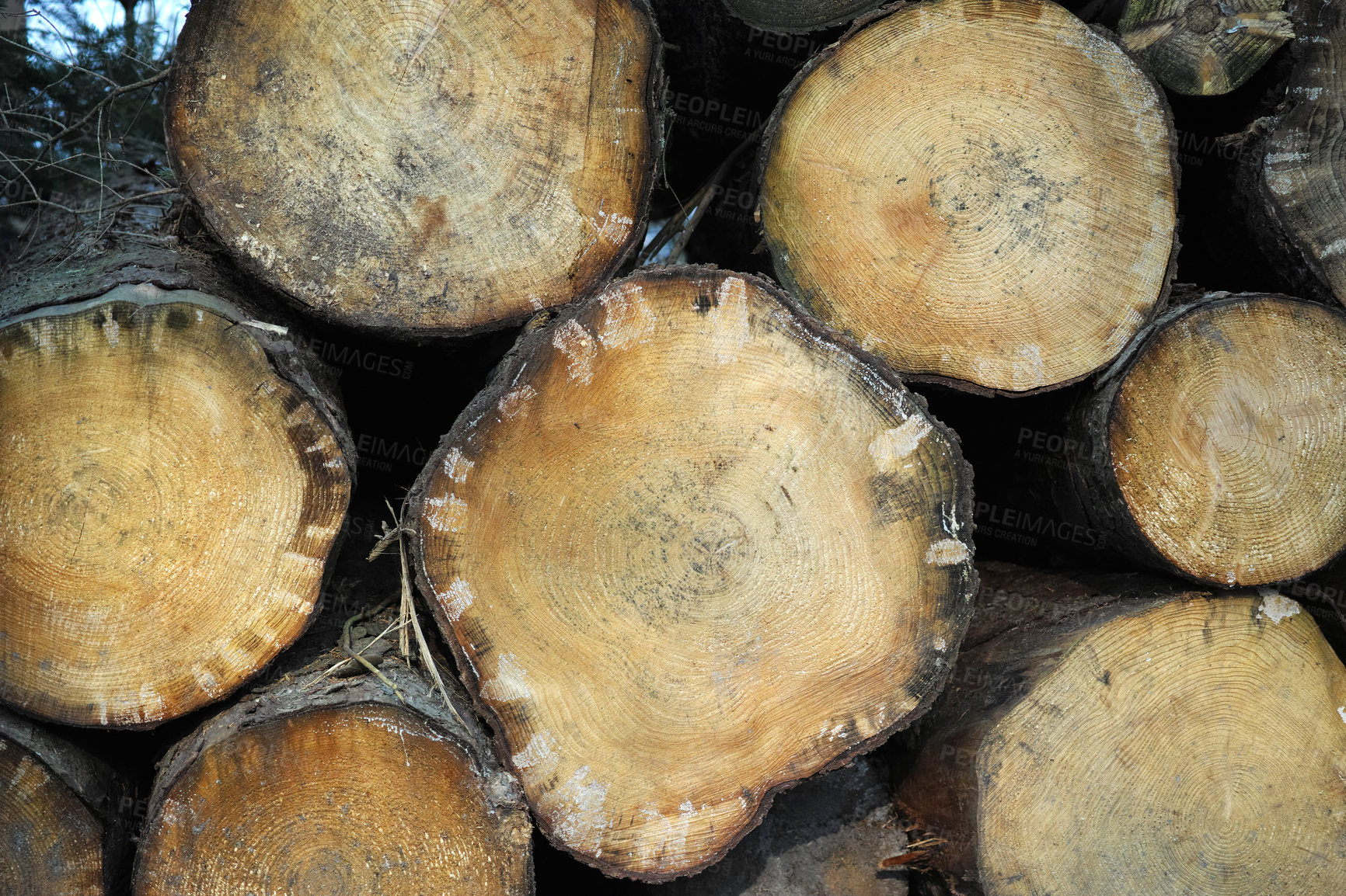 Buy stock photo Wooden Logs - firewood ready to burn