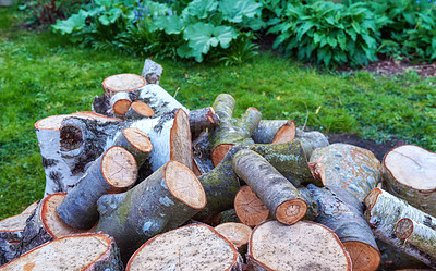 Buy stock photo Forest, lumber and nature with logs of wood for campfire, natural resource and outdoor adventure. Environment, eco friendly and pile of material with bark on grass for travel, destination and bonfire