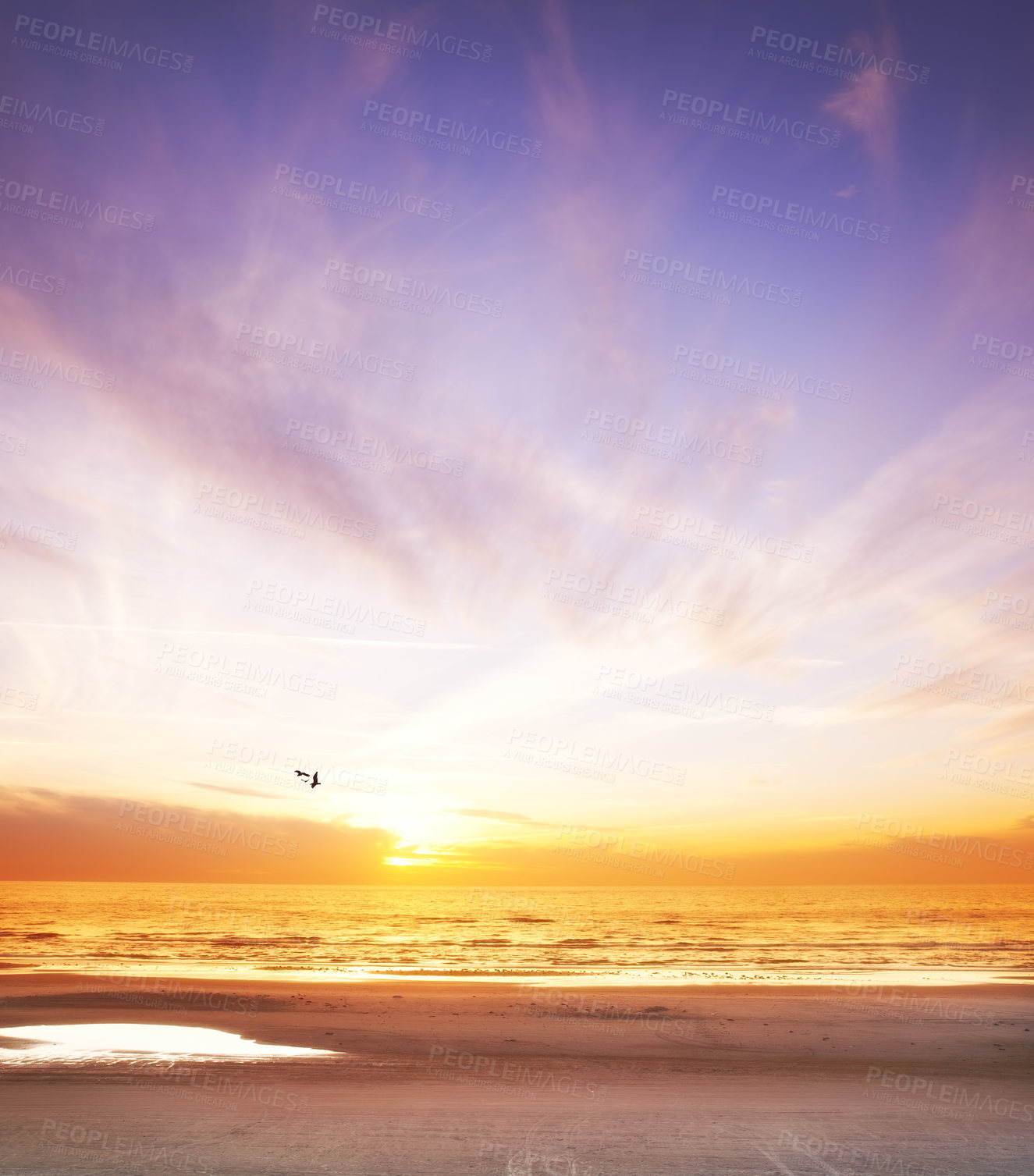 Buy stock photo The west coast beach of Jutland, Denmark - hundred of kilometers long.