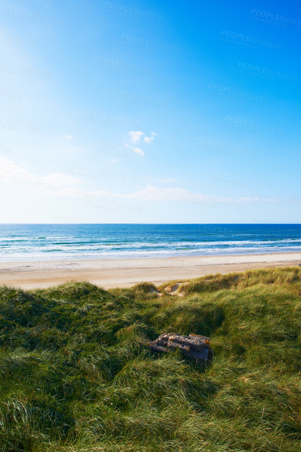 Buy stock photo Tropical, beach or blue sky with tree, nature or ocean in green environment with sand and travel destination. Sea, view and seascape in natural background, location or horizon for holiday in Denmark