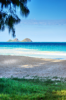 Buy stock photo Tropical, sea or water with tree, grass or ocean in nature or environment with sand or travel destination. Horizon view, park or paradise in natural background, holiday location or beach in Hawaii