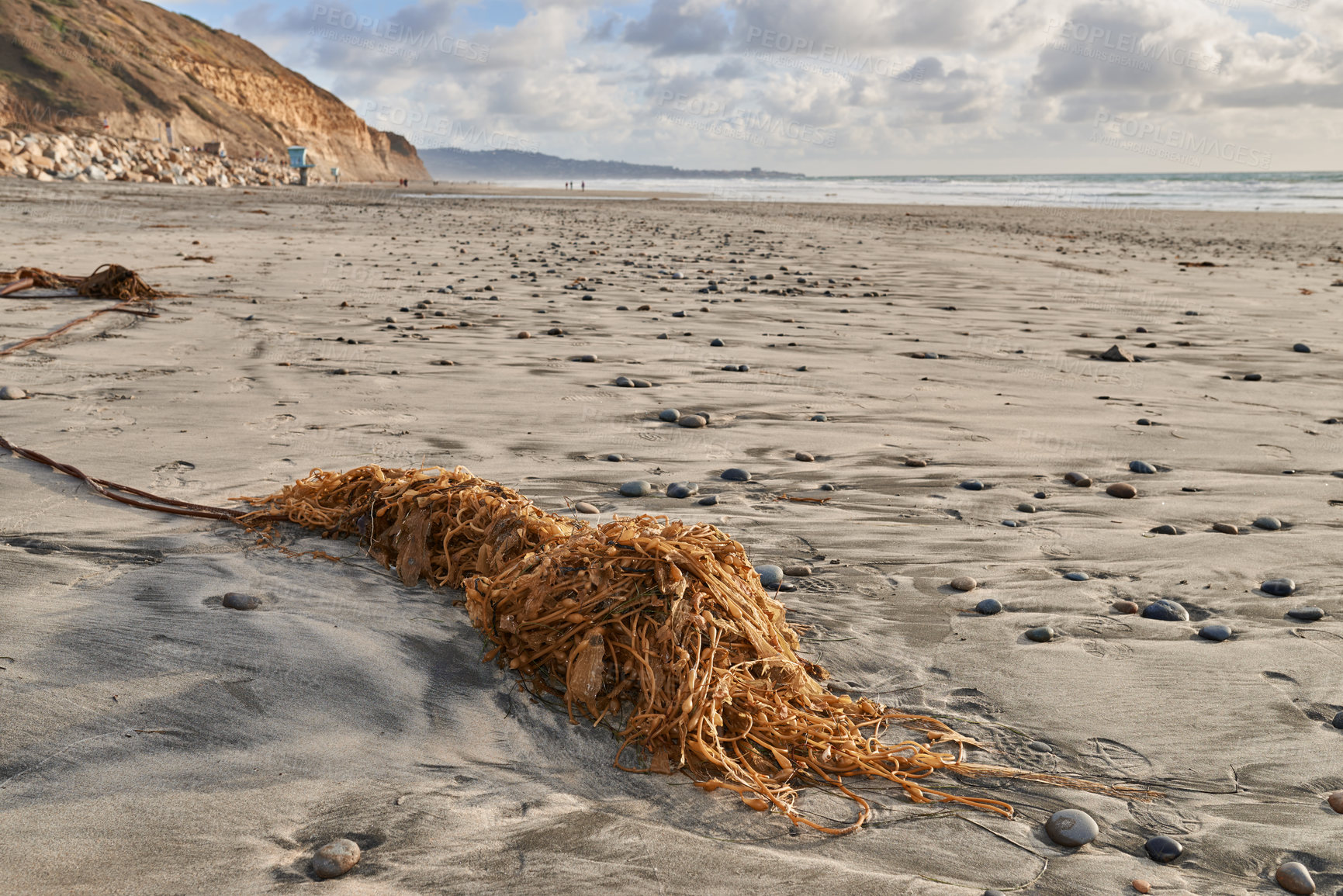 Buy stock photo Travel, sand and shore of beach with kelp on island for getaway, tropical oasis and horizon environment for journey. Adventure, paradise outdoor and holiday haven for summer vacation in California.