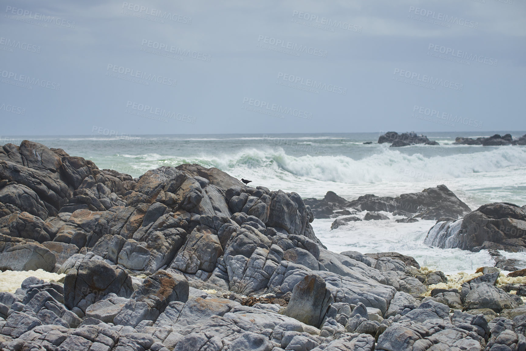 Buy stock photo A rocky coastline in the Cape Province, South Africa. Ocean waves crashing on coastal rocks on a sunny summer day with blue clear skies and a scenic tropical landscape beachfront in the Western Cape
