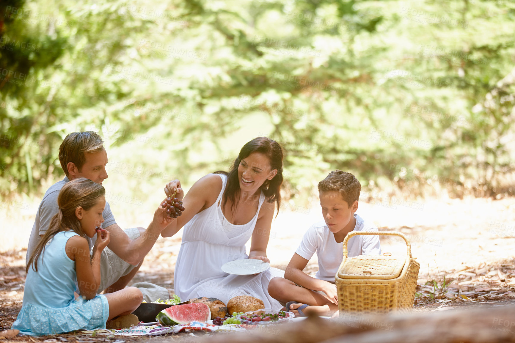 Buy stock photo Shot of a happy family having a picnic in the forest