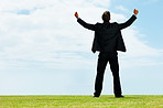 Successful business man with his arm outstretched on a field