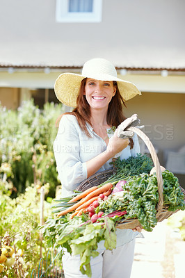 Buy stock photo A gorgeous woman stands in her garden holding the vegetables that she picked