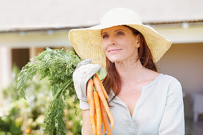 Buy stock photo A beautiful woman wearing gardening gloves holds a bunch of freshly harvested carrots