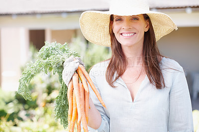 Buy stock photo A beautiful woman holds up a bunch of carrots while standing in her garden