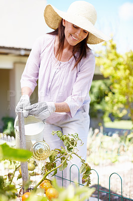 Buy stock photo A beautiful woman watering the plants in her garden