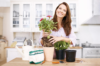 Buy stock photo Woman, home gardening and portrait in kitchen with flowers, soil and pot plant on counter. Smile, female person and growth in house for decoration, planting and care with tools for sustainability