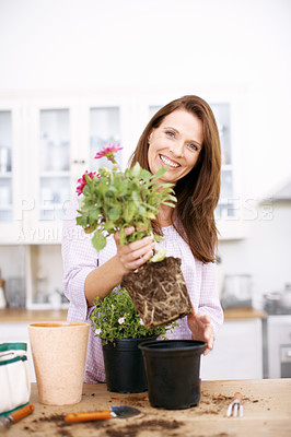 Buy stock photo Portrait of a beautiful woman potting some plants for summer