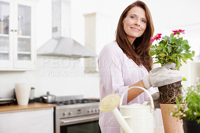 Buy stock photo Pots, home decor and portrait of happy woman with flowers, plants and soil in kitchen. Female person, smile and gardening in house for beauty, planting and sustainability in living space with gloves