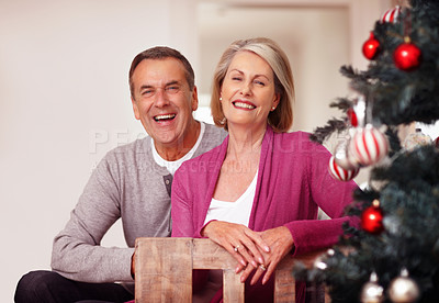 Buy stock photo Senior, portrait and happy couple with christmas tree for love, support or festive celebration at home. Mature man and woman with smile for in joy for December holiday or weekend together at house