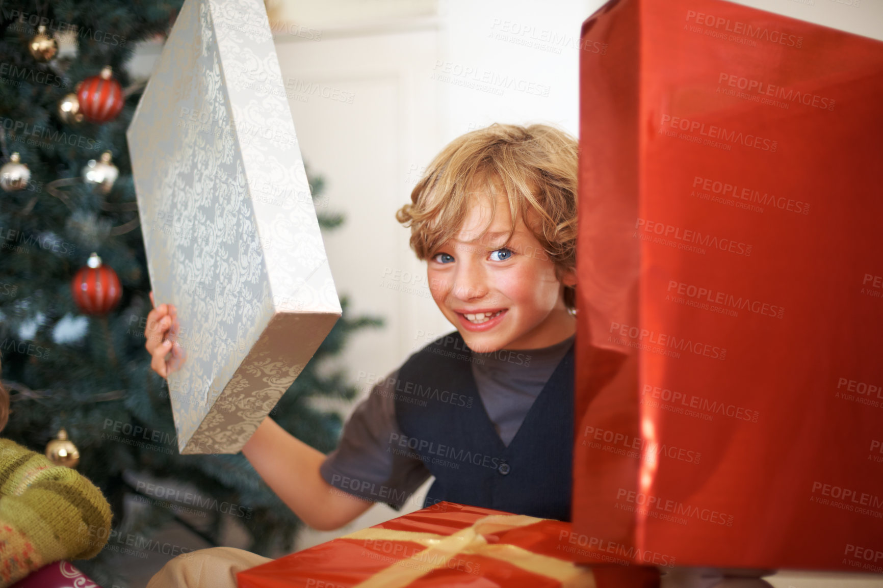 Buy stock photo Portrait, christmas and a boy opening a present under a tree in the morning for celebration or tradition. Kids, gift and excitement with a happy, young or cute child in the living room of his home