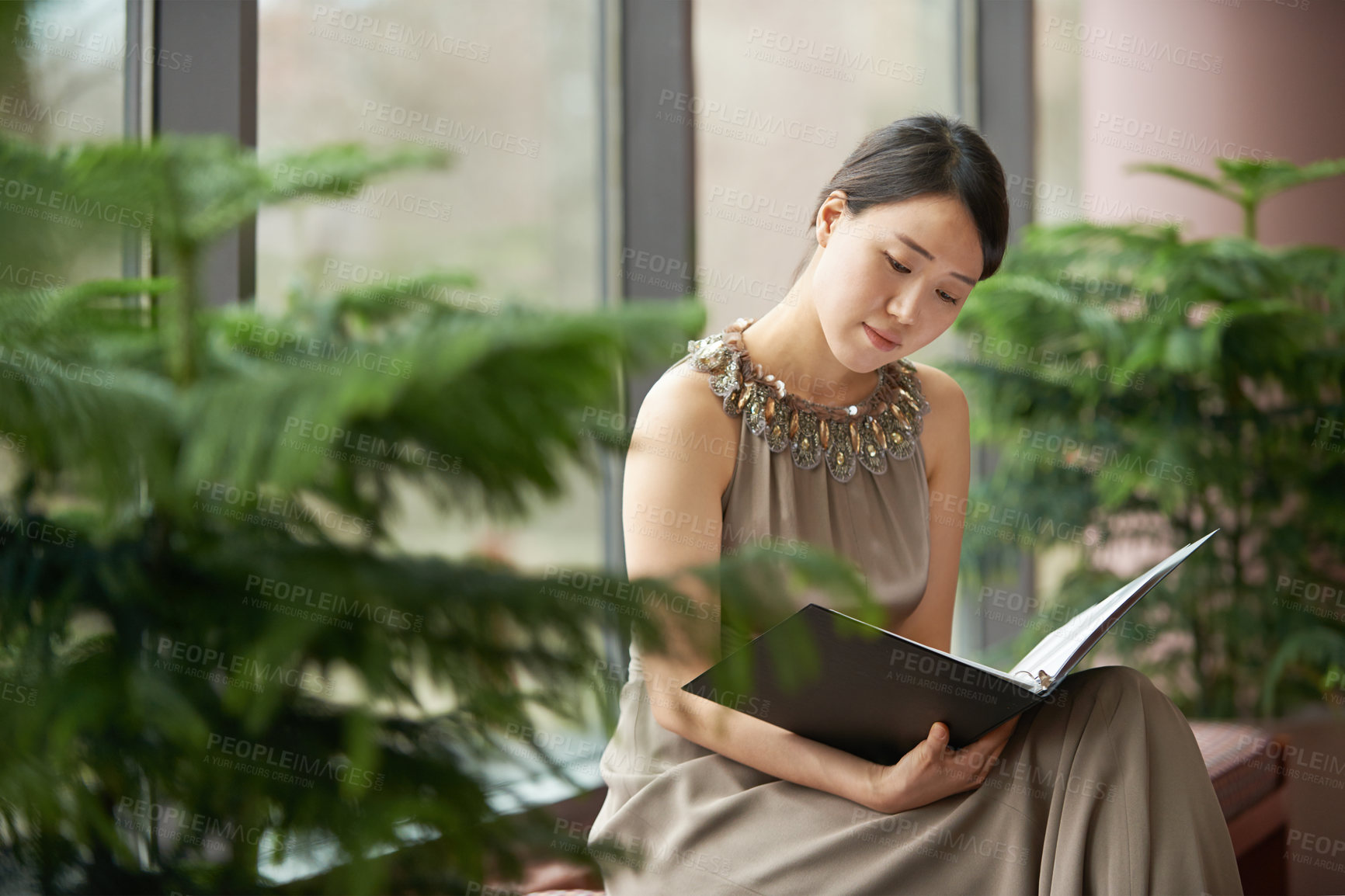 Buy stock photo Reading, plants and woman in home with book to relax with glamour, comfort and elegant fashion. Eco, green decor and Asian girl in house with files, reference and cool carbon neutral interior design