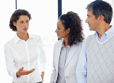 Buy stock photo Portrait of female team leader discussing with colleagues