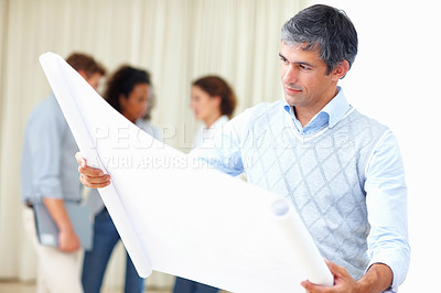 Buy stock photo Portrait of mature business man reading blueprints with colleagues discussing in background