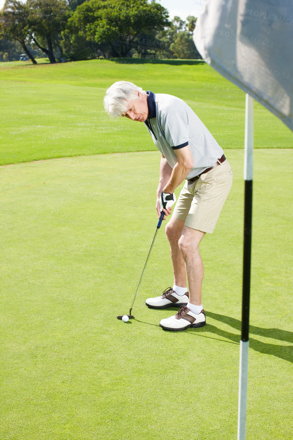 Buy stock photo Old man, putting and golf course for sports, club and outdoor fitness for competition or games. Male person, tournament and precision for practice match on turf, exercise and challenge in retirement