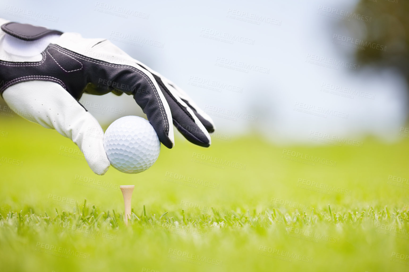 Buy stock photo Person, place ball and hands on golf course, club and outdoor fitness for competition or games. Gloves, tournament and precision tee for practice match on field, position and professional athlete